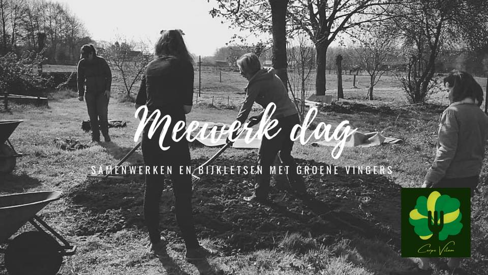 Carpe Vitam meewerkdag