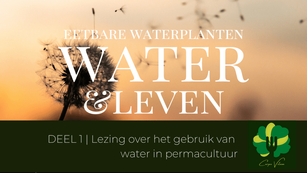 Permacultuur en water