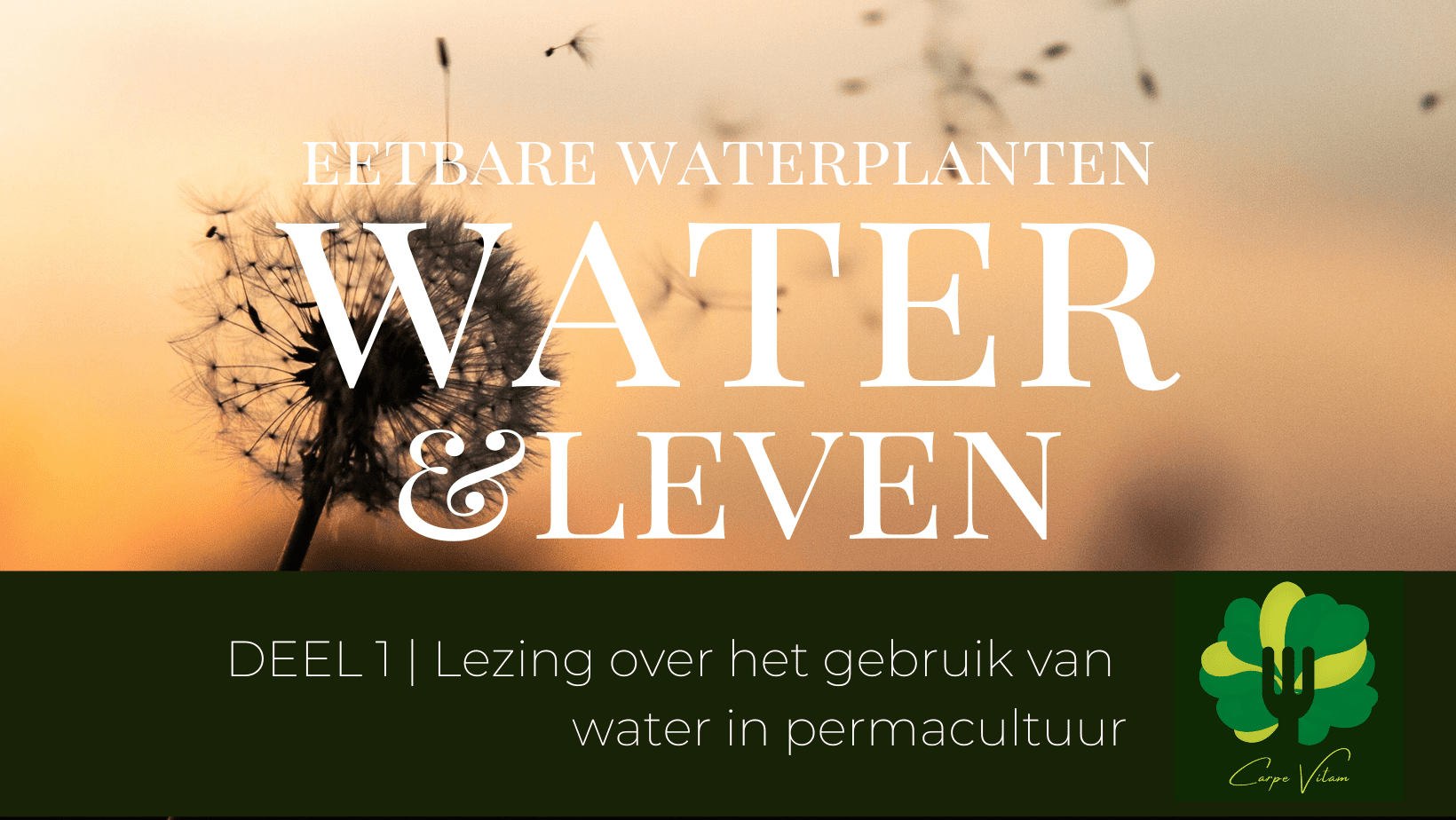 Permacultuur en water