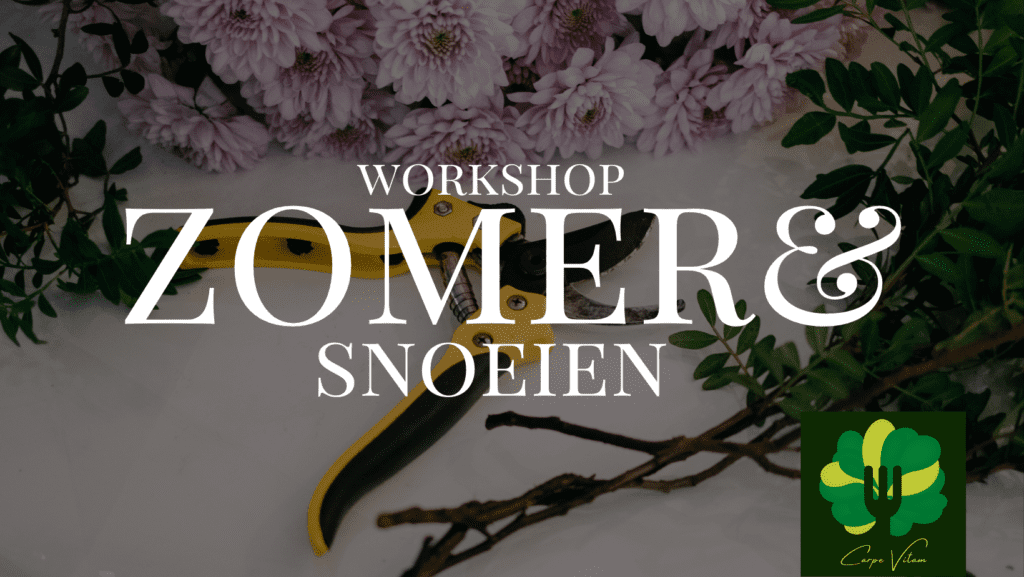zomersnoei
