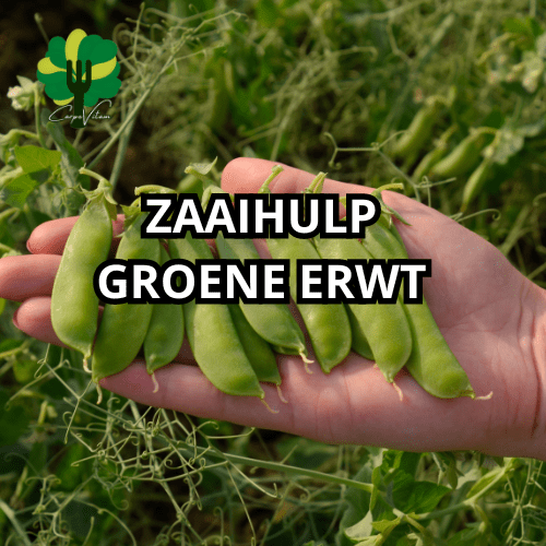 zaaihulp GROENE ERWT