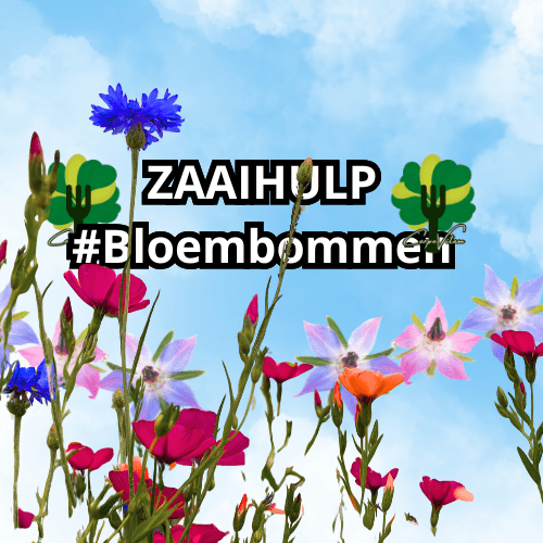 zaaihulp bloembollen