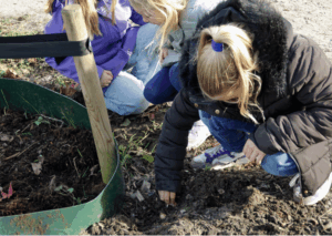 bollen actie klimaatburgemeester Hoogeveen _ appollo