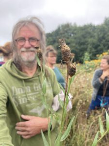 Bloem 5 Bloemen op Marokko & Carpe Vitam