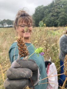 Bloem 4 Bloemen op Marokko & Carpe Vitam
