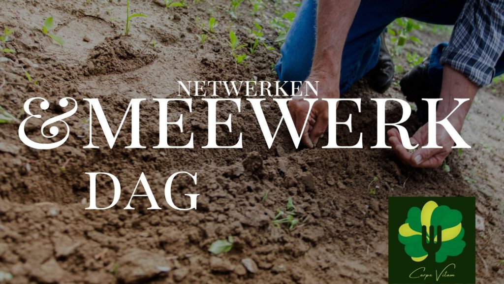 meewerkdag