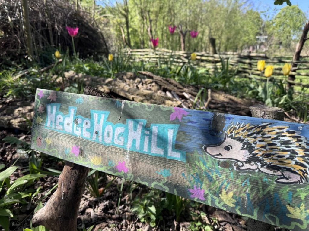 hedgehog hill - egelburcht. egelburcht Elim voedselbos