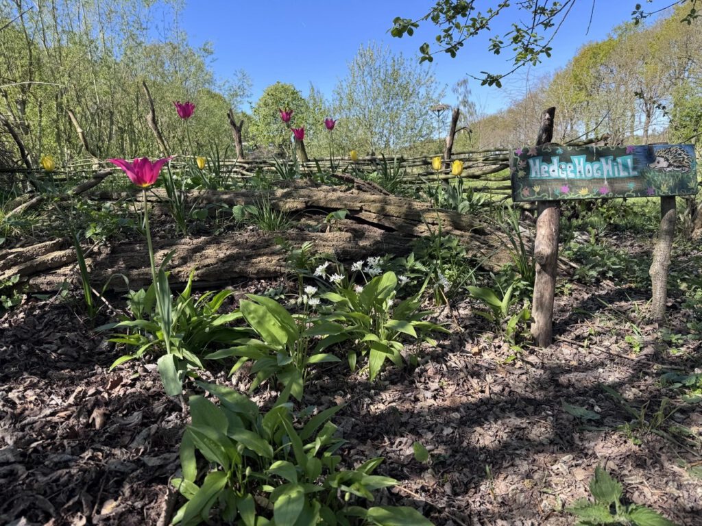 Hedgehoh hill carpe vitam egelburcht Elim voedselbos