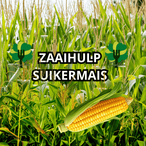 suikermais zaaihulp