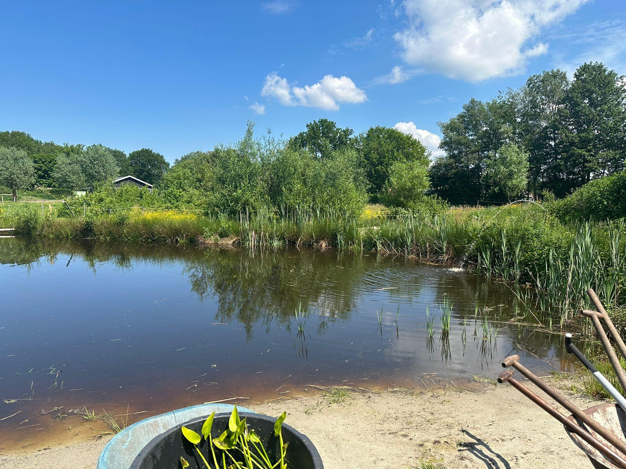 eetbare zwemvijver