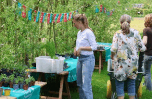 plantjes worden klaargezet