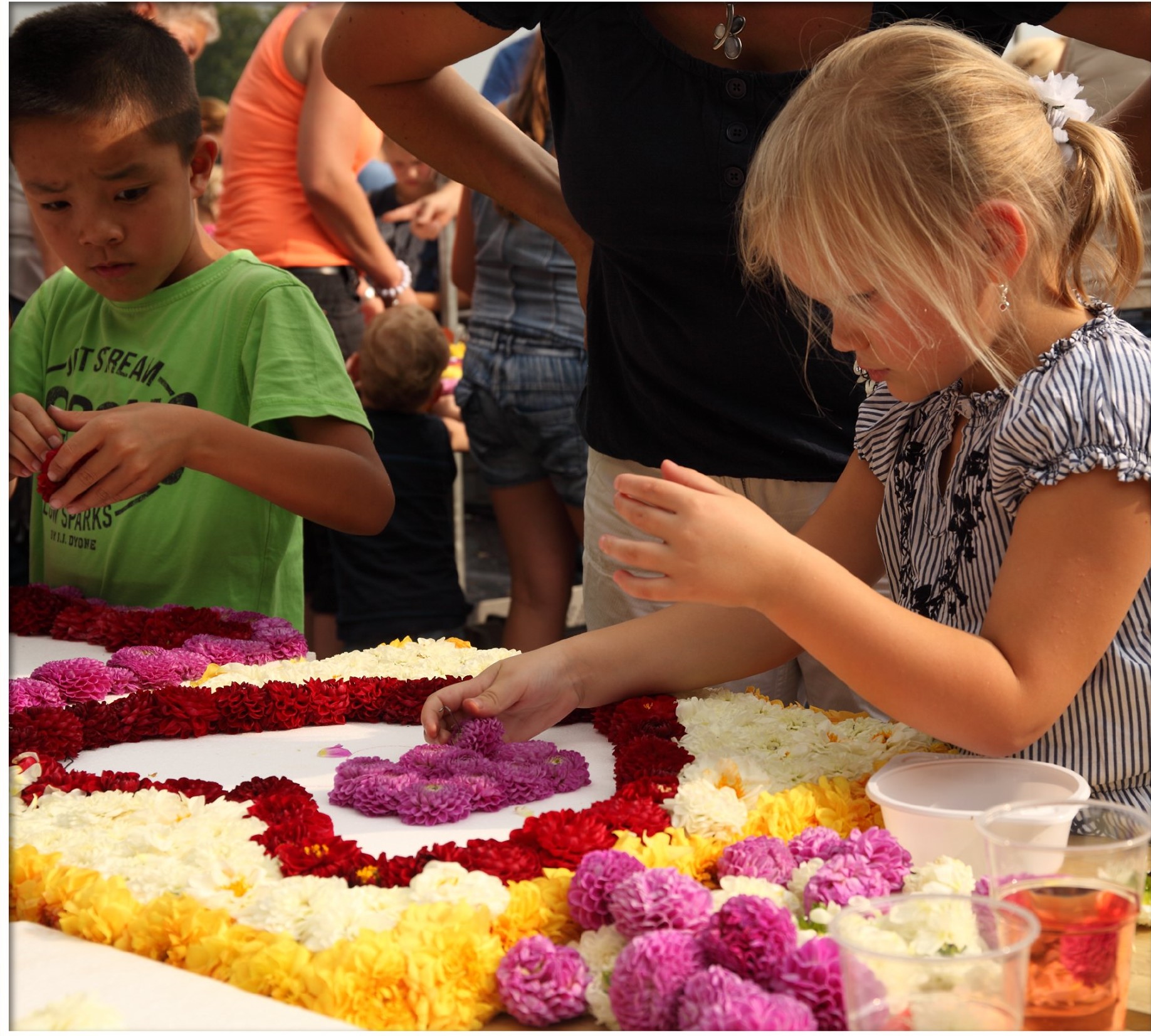 Bloemencorso Elim